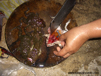 Thai food - frog